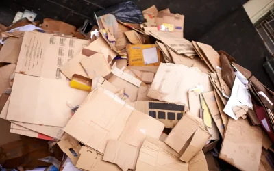 ready-for-recycling-2025-04-06-10-38-54-utc_result